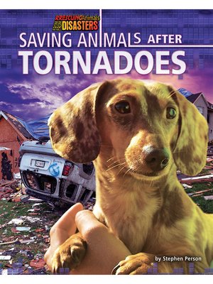 cover image of Saving Animals After Tornadoes
